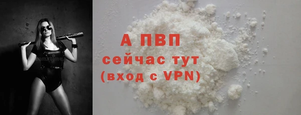 сатива Арсеньев